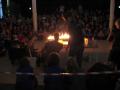 FLL37