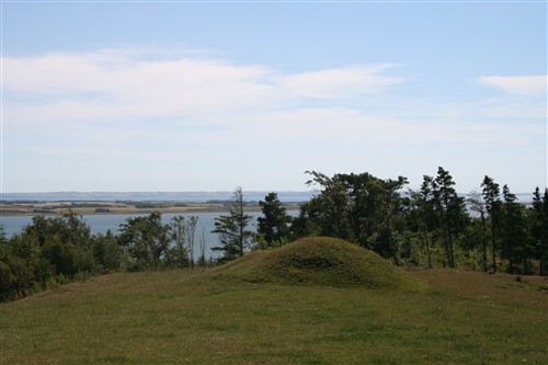 Oerum67
