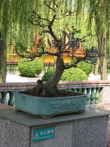 Kina-2004-20