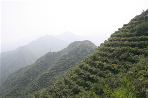 Kina-48