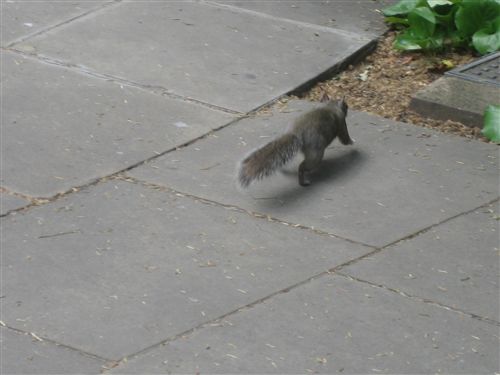 167