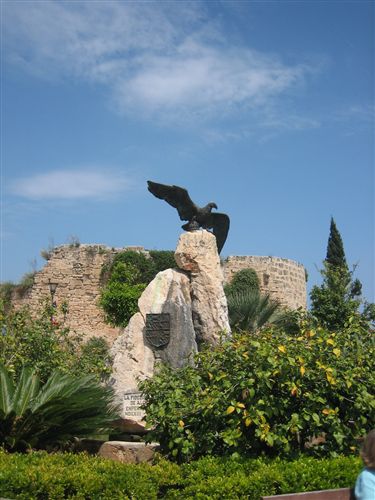 79