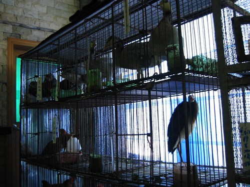 Kina-2004-25