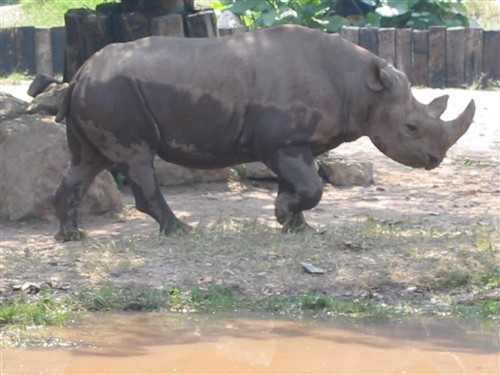 Kina-2004-28