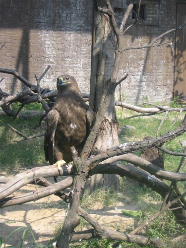 Kina-2004-32