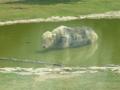 Kina-2004-112
