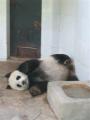 Kina-2004-117