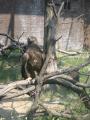 Kina-2004-32