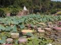 Kina-2004-83
