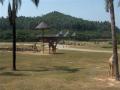 Kina-2004-89