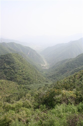 Kina-49