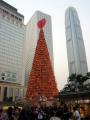 IMG 5701