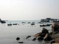 IMG 5950